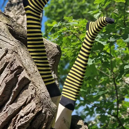 Frau Hansen * Dangast