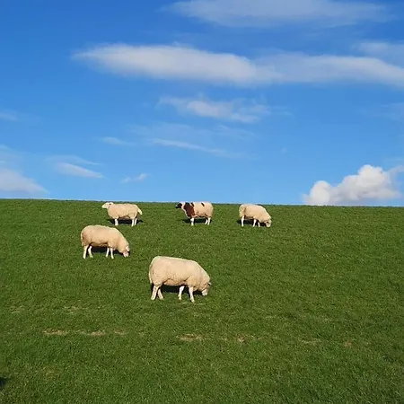 Frau Hansen Appartamento