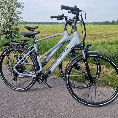 Frau Hansen * Dangast